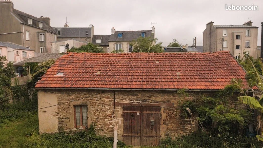 Local d'activité