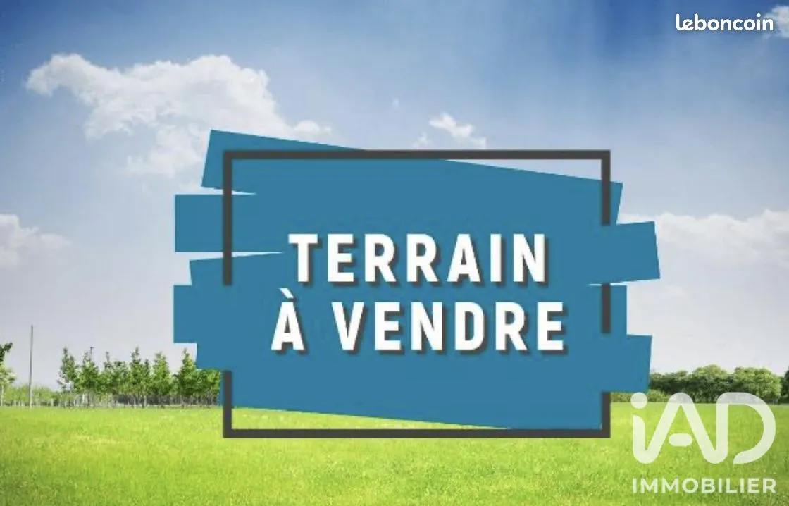 Terrain