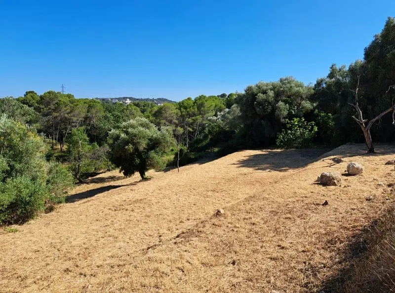 Terrain
