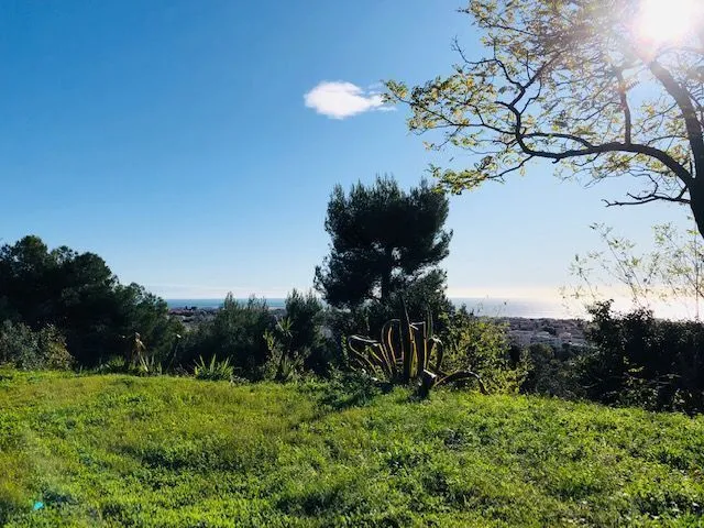 Terrain