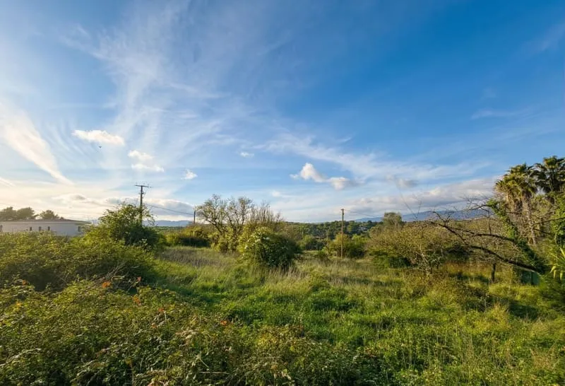 Terrain