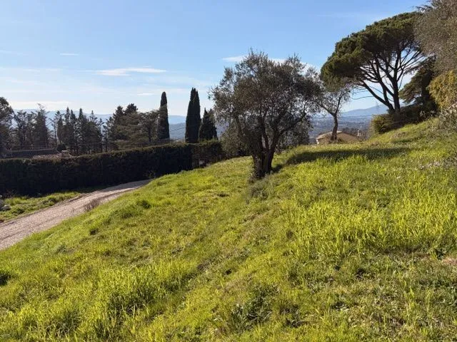 Terrain