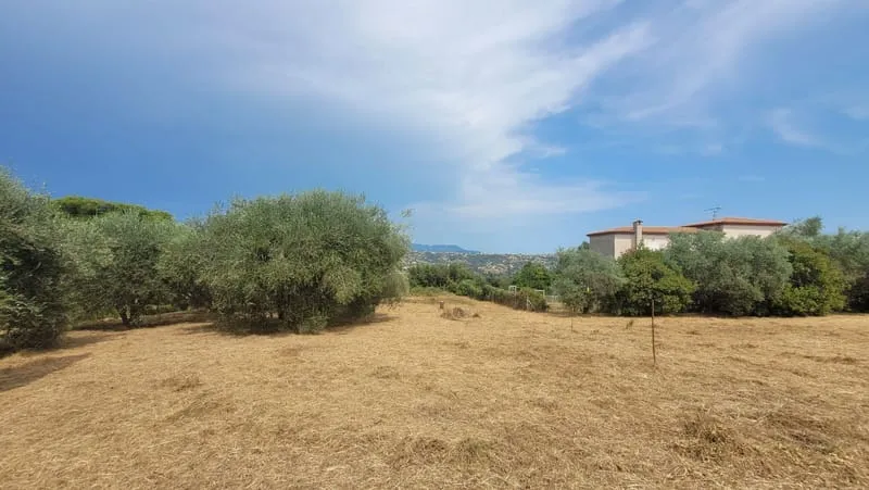 Terrain