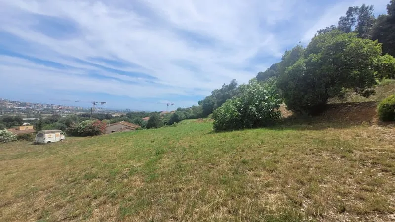 Terrain