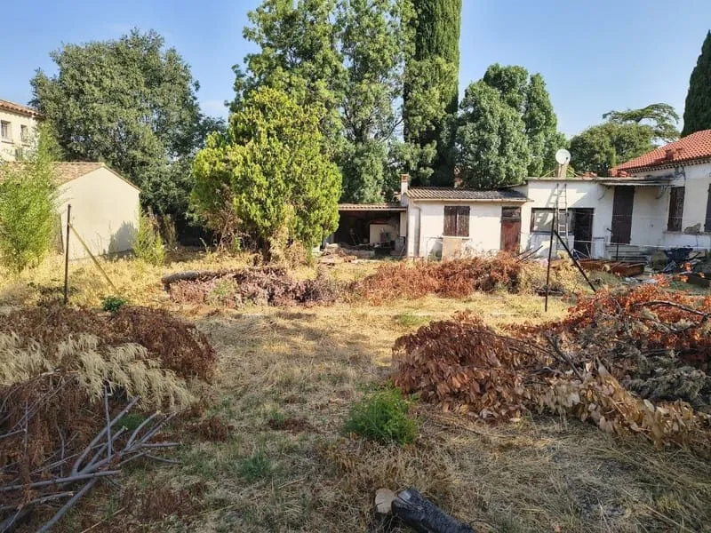 Terrain