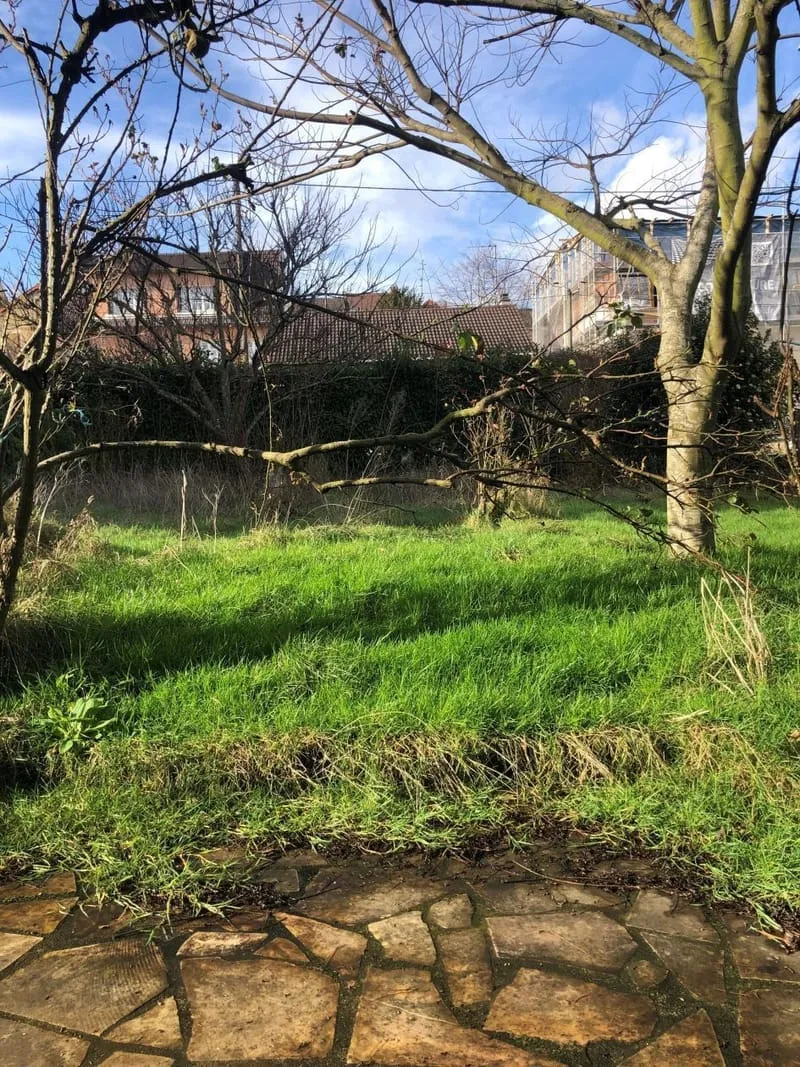 Terrain