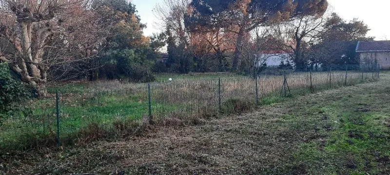 Terrain
