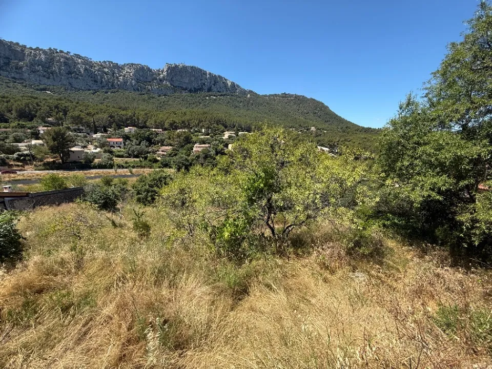 Terrain