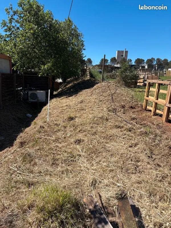 Terrain