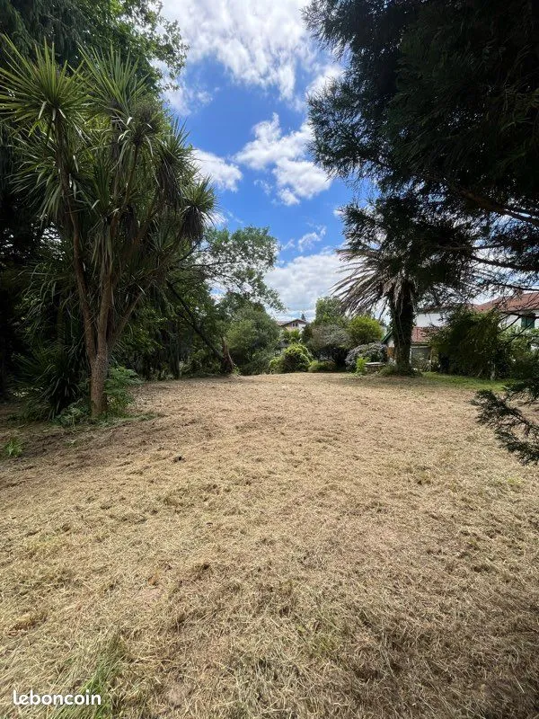 Terrain