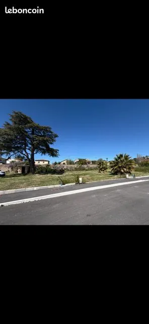 Terrain