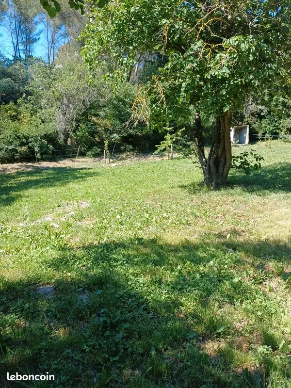 Terrain