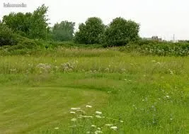 Terrain