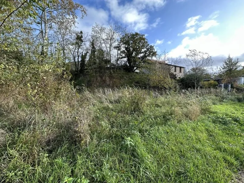 Terrain