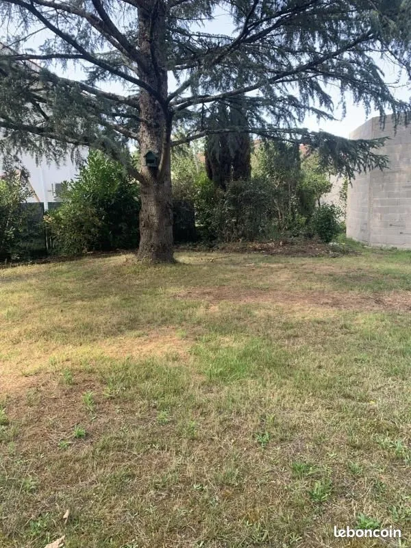 Terrain
