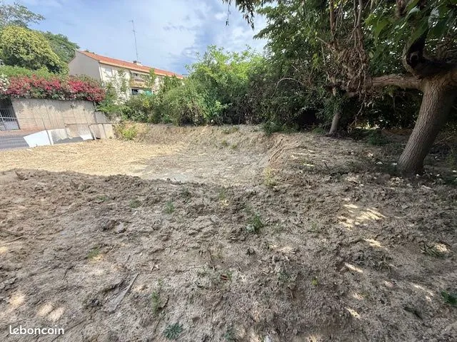 Terrain