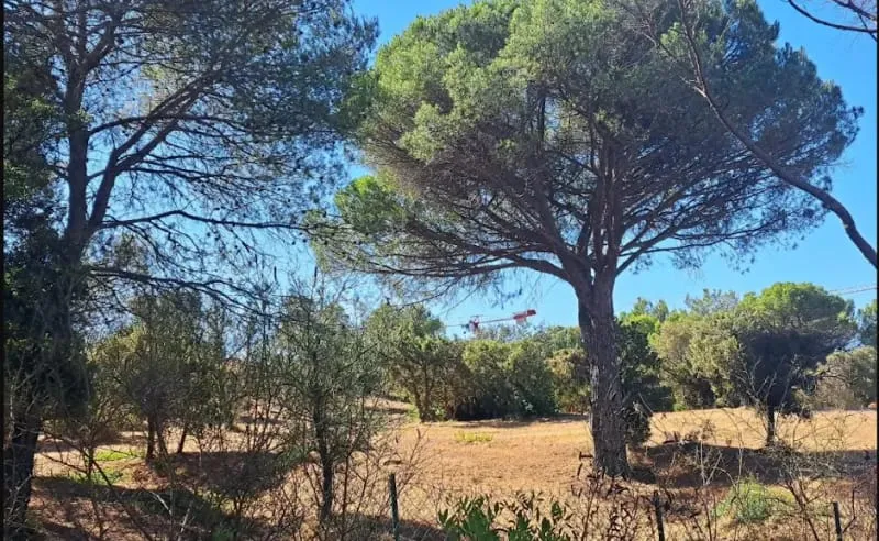 Terrain