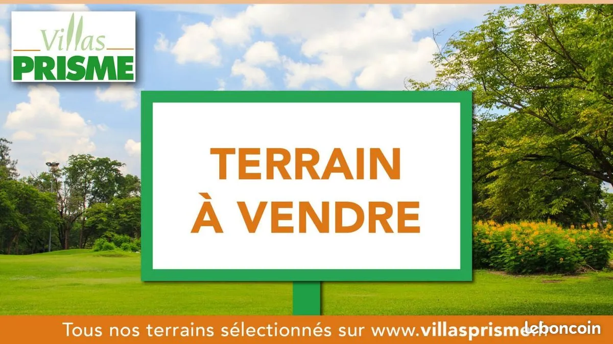 Terrain