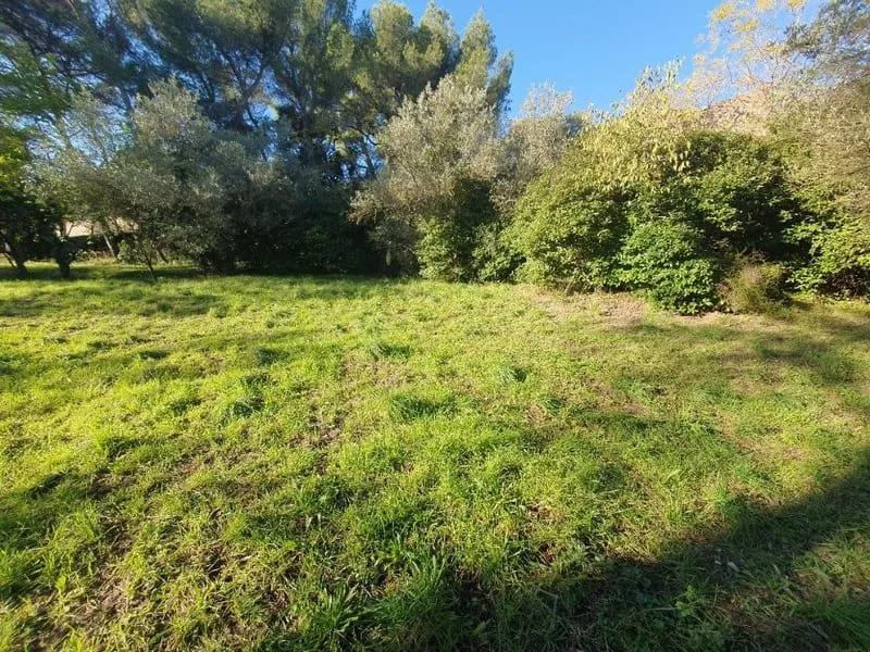 Terrain