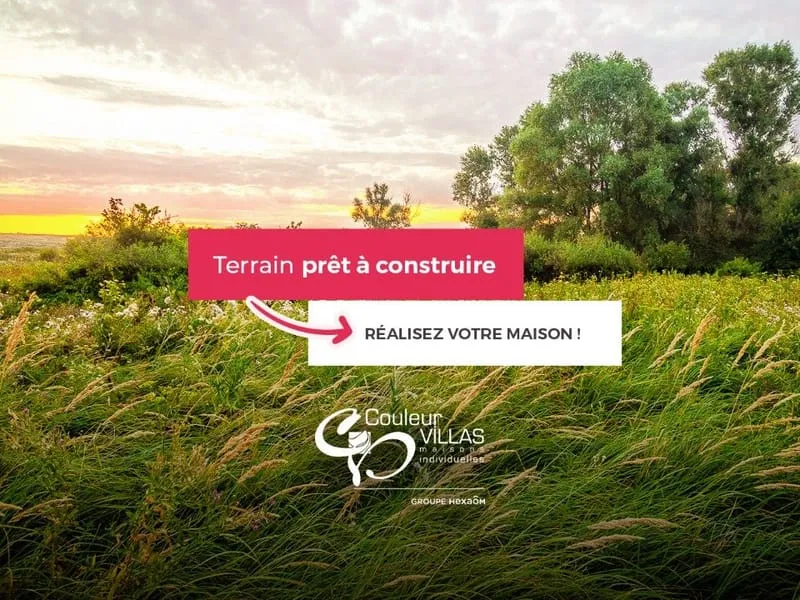 Terrain