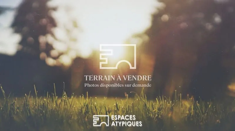 Terrain