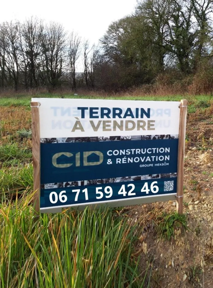 Terrain
