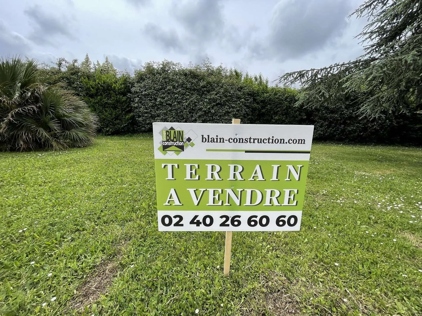 Terrain
