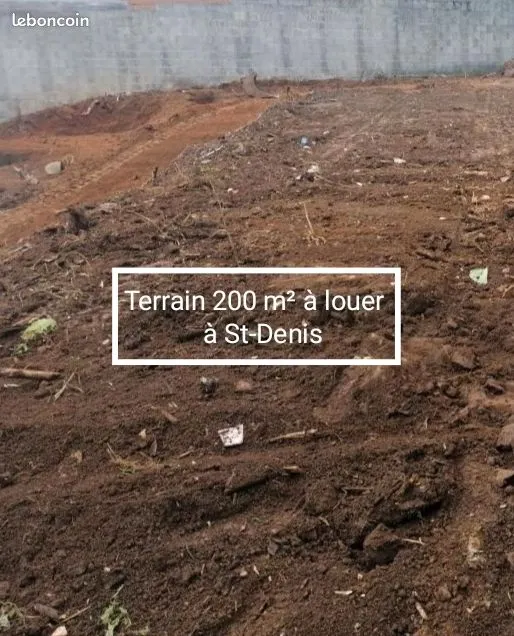 Terrain