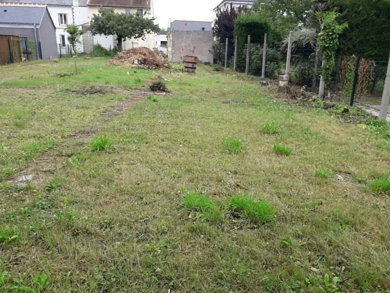 Terrain