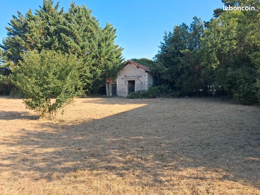 Terrain