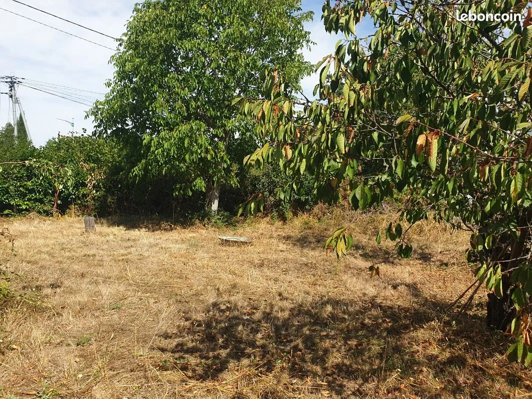Terrain