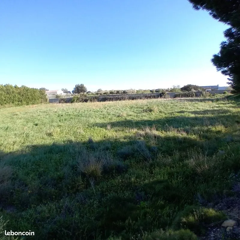 Terrain