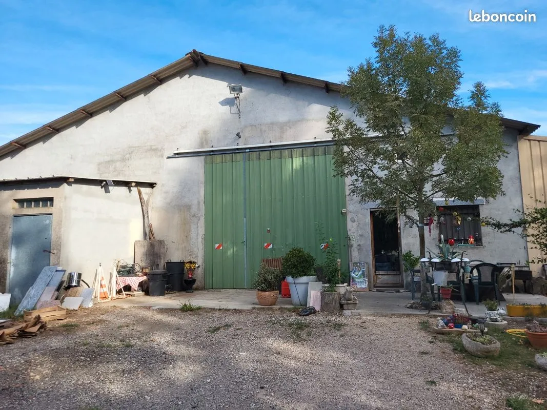Local d'activité