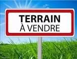 Terrain