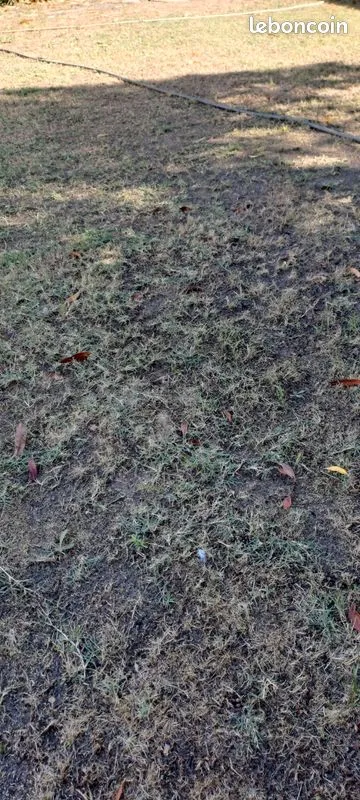 Terrain