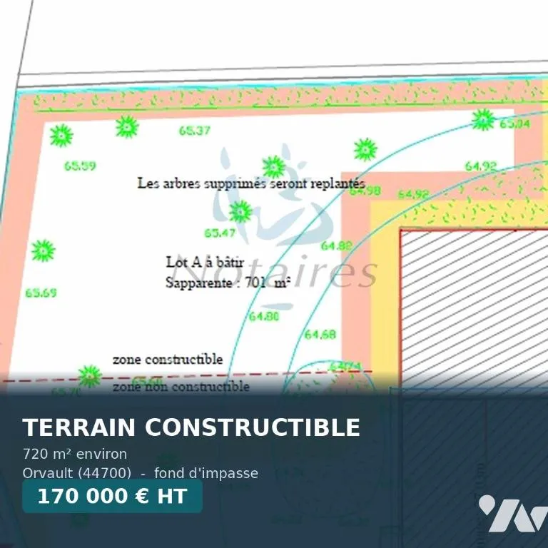 Terrain