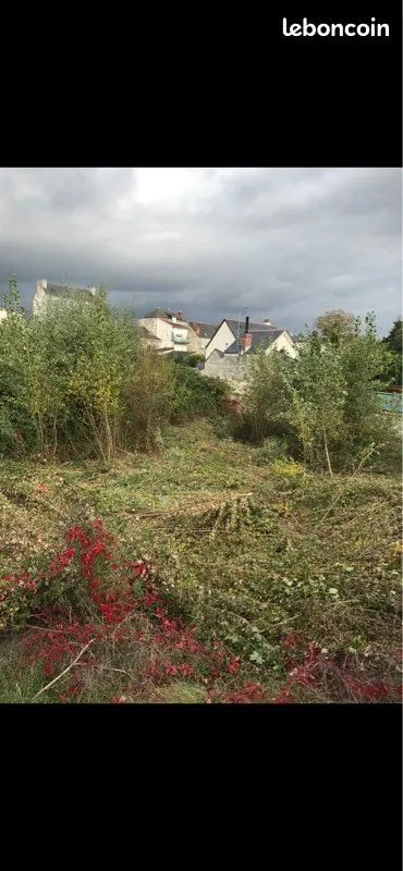 Terrain