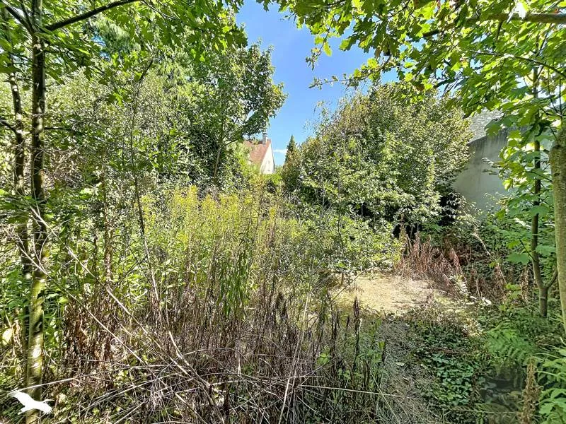 Terrain