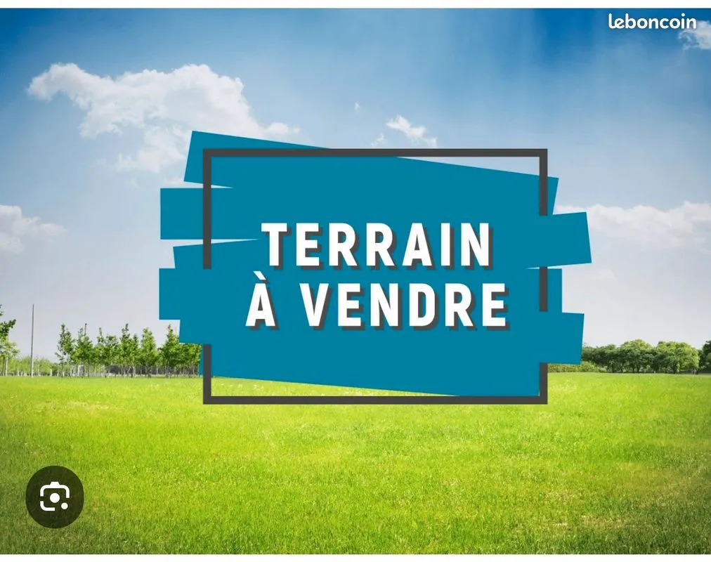 Terrain