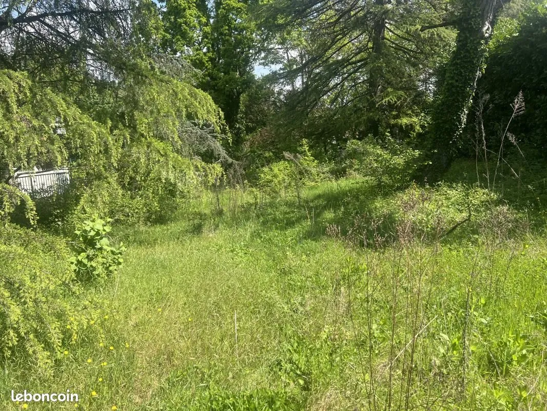 Terrain