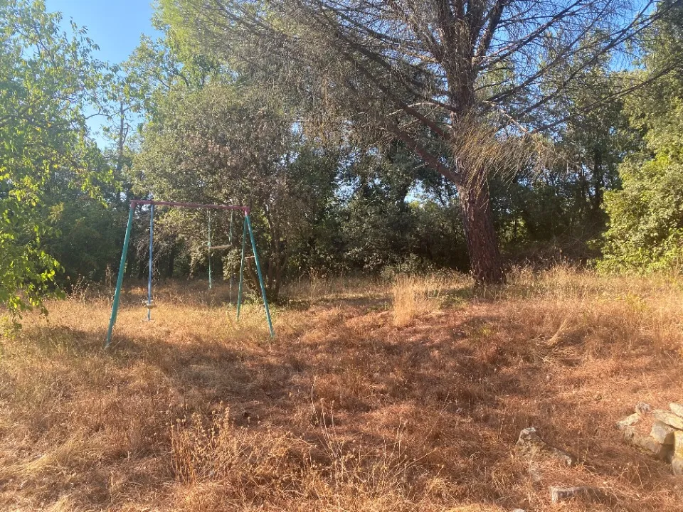 Terrain