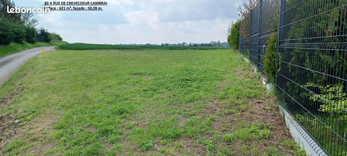 Terrain