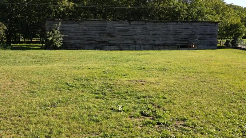 Terrain