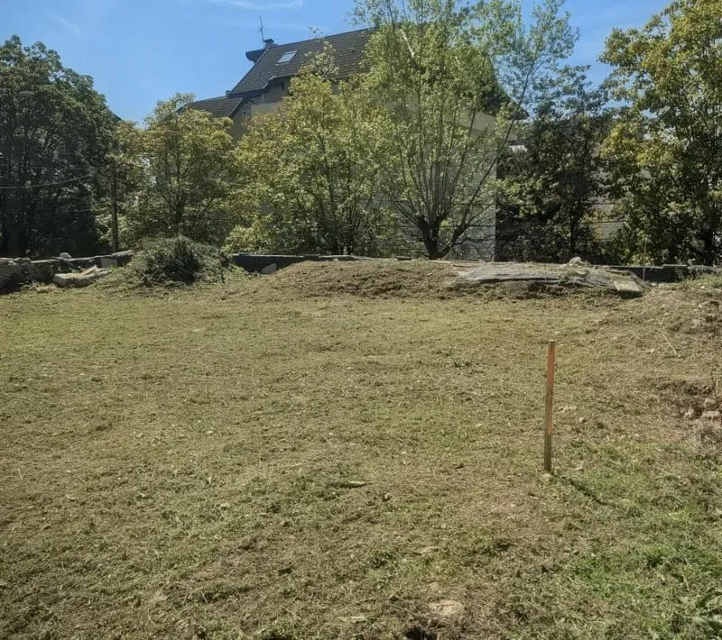 Terrain
