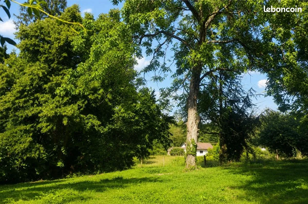 Terrain