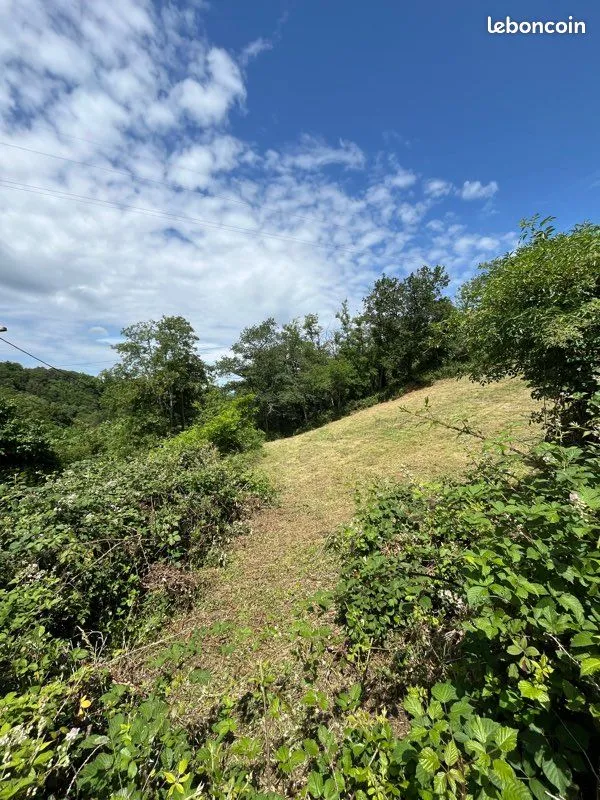 Terrain