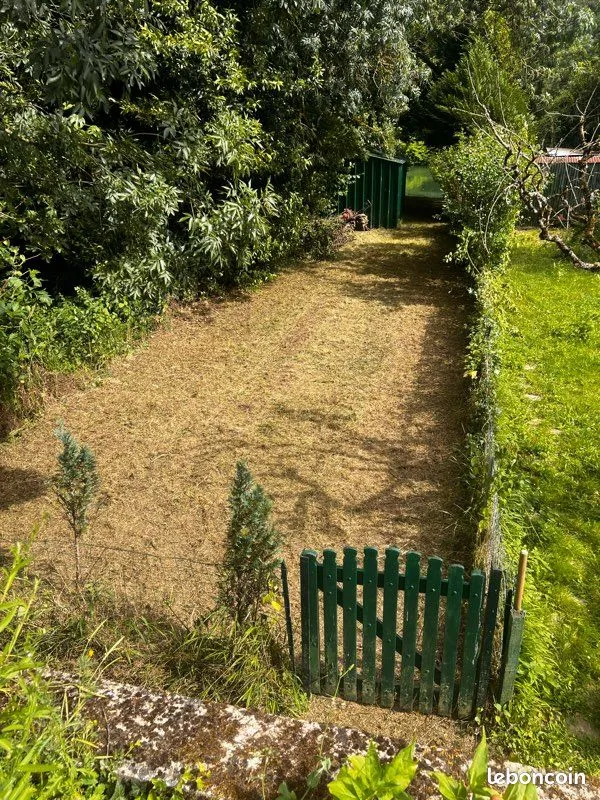 Terrain