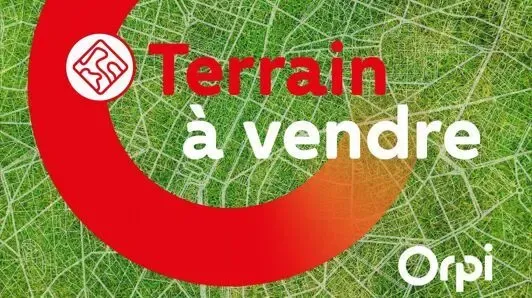 Terrain