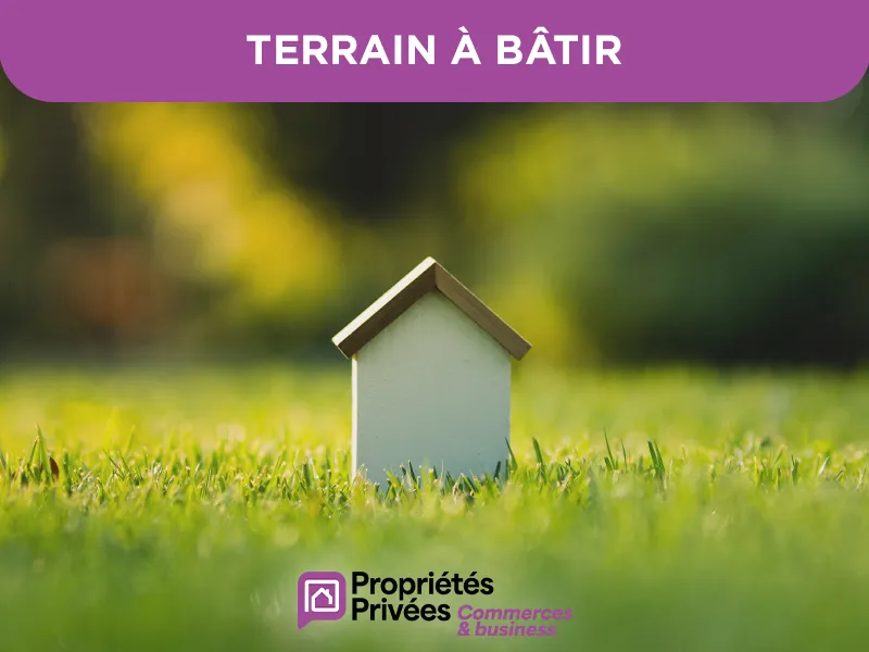 Terrain
