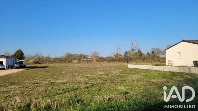 Terrain